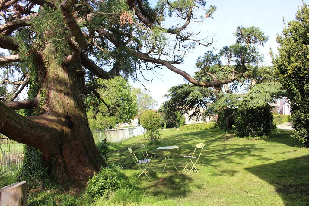 Château de Villeneuve - Montolieu Extérieur photo